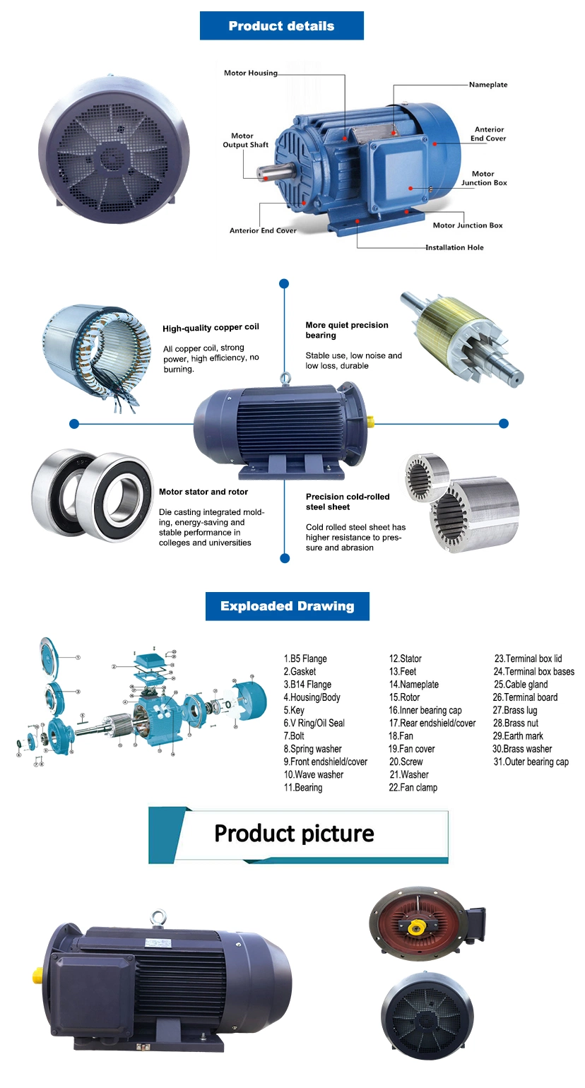 IEC Standard General Purpose 18.5kw Three Phase Induction Electric Motor